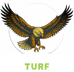 All American Turf