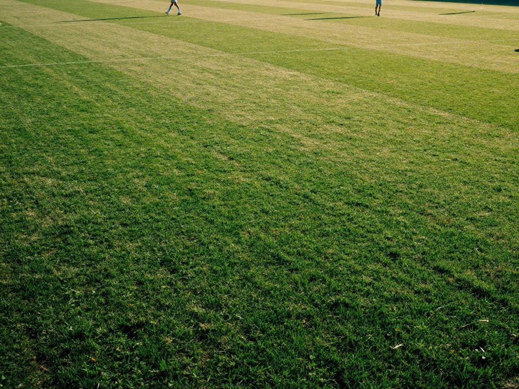 Rubber-Free Infill: The Turf Upgrade Most People Are Switching To