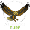 Artificial Turf Installers DFW | All American Turf